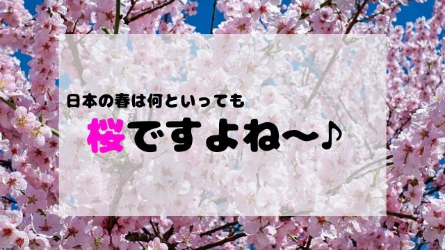 ソメイヨシノ開花直前 千葉のオススメお花見スポットを5つ紹介します 聖一朗の やってブログ