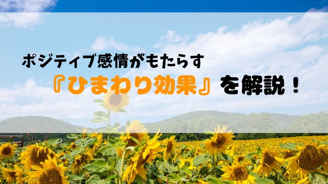 人間関係が好転 ポジティブ感情がもたらす ひまわり効果 を解説 聖一朗の やってブログ